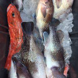 第二龍勢丸 釣果