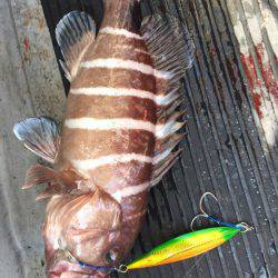 第二龍勢丸 釣果