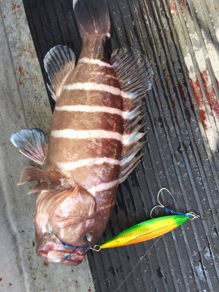 第二龍勢丸 釣果