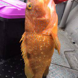 第二龍勢丸 釣果