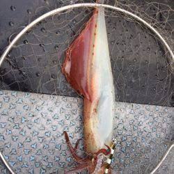 第二龍勢丸 釣果