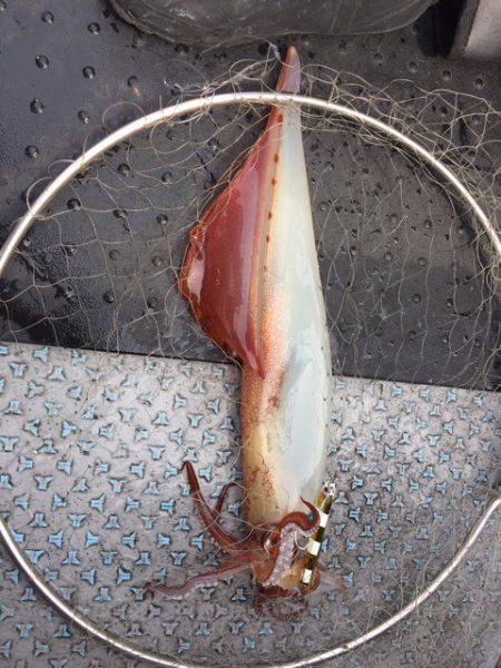 第二龍勢丸 釣果