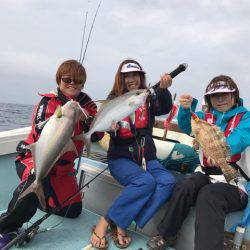 シーランチ 釣果