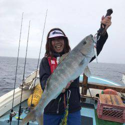 シーランチ 釣果