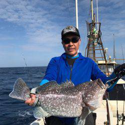 シーランチ 釣果