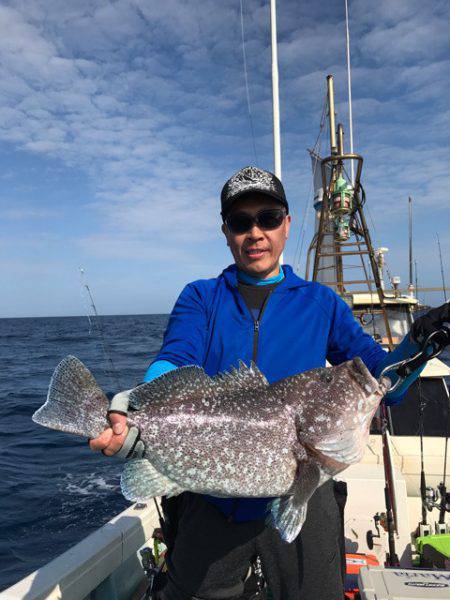 シーランチ 釣果