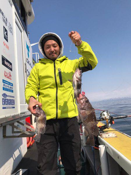 シーランチ 釣果