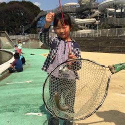 としまえんフィッシングエリア 釣果