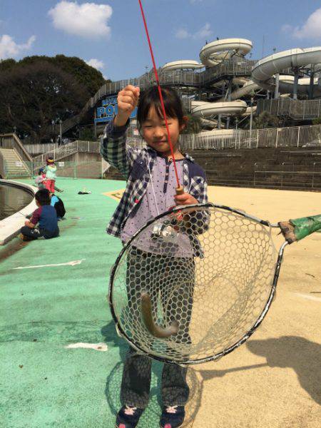 としまえんフィッシングエリア 釣果