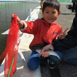 としまえんフィッシングエリア 釣果