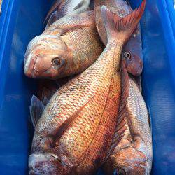 第二八坂丸 釣果