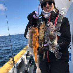 シーランチ 釣果