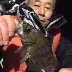 ヤザワ渡船 釣果