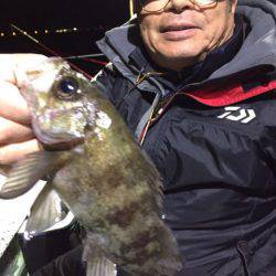 ヤザワ渡船 釣果