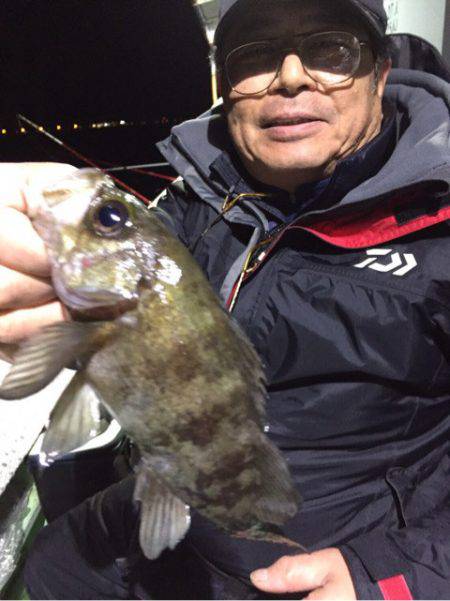 ヤザワ渡船 釣果