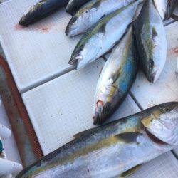 海楽隊 華栞丸 釣果