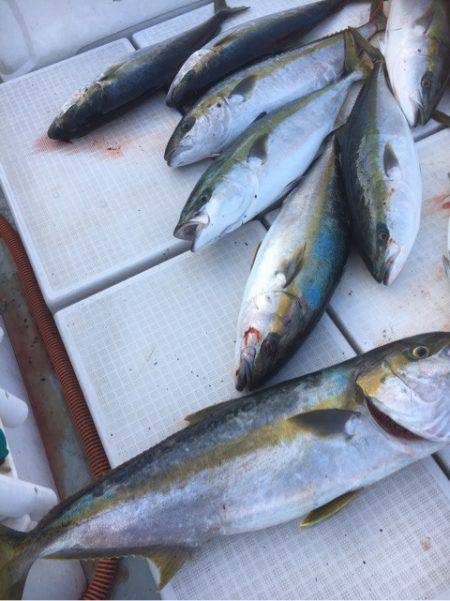 海楽隊 華栞丸 釣果