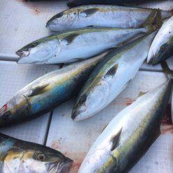 海楽隊 華栞丸 釣果