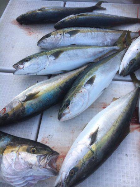 海楽隊 華栞丸 釣果