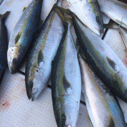 海楽隊 華栞丸 釣果