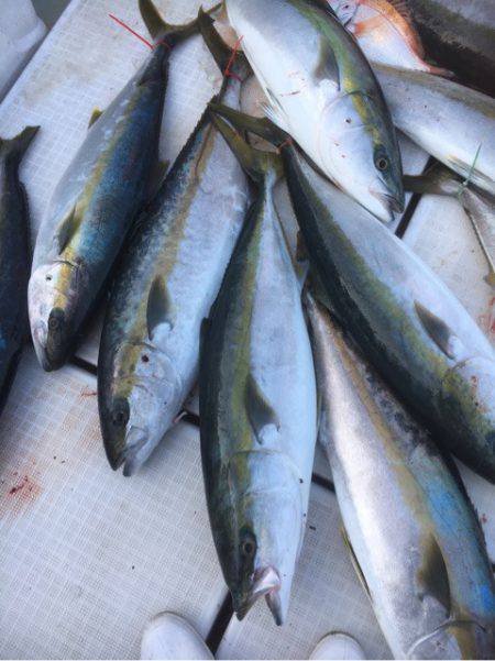 海楽隊 華栞丸 釣果