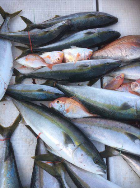 海楽隊 華栞丸 釣果