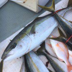 海楽隊 華栞丸 釣果