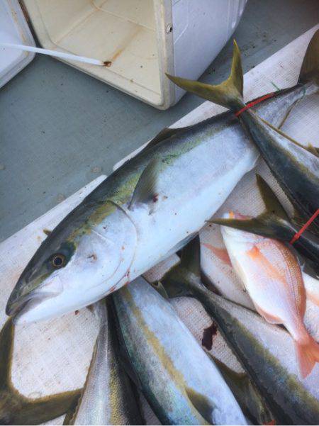 海楽隊 華栞丸 釣果