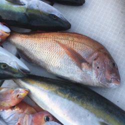 海楽隊 華栞丸 釣果