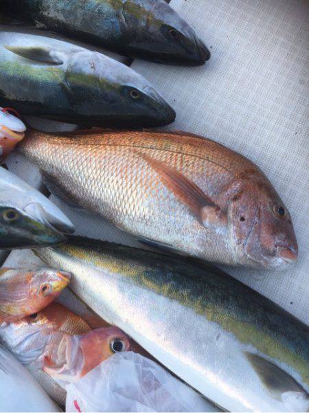 海楽隊 華栞丸 釣果