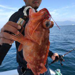 龍神丸（鹿児島） 釣果