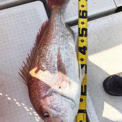 龍神丸（鹿児島） 釣果