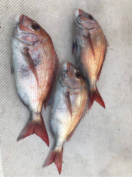 Monster Rush! 釣果