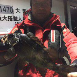 ヤザワ渡船 釣果