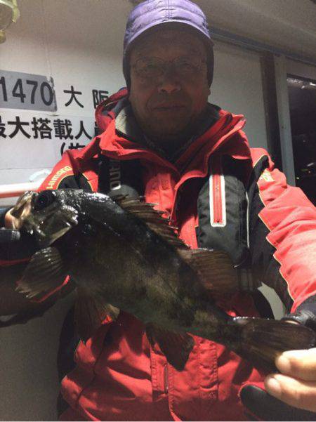 ヤザワ渡船 釣果