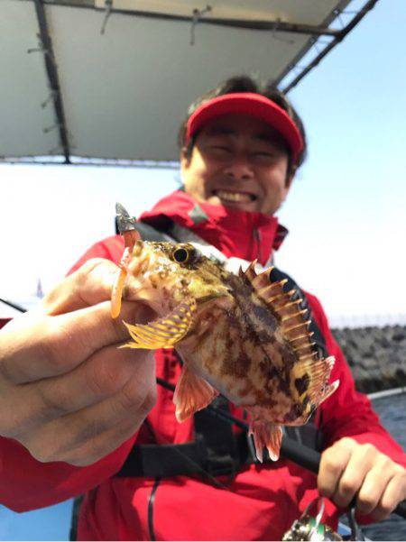 ヤザワ渡船 釣果