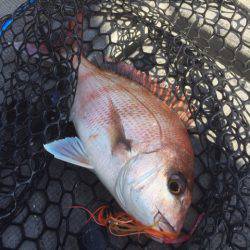 第二 海洋丸 釣果