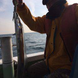 ヤザワ渡船 釣果