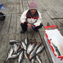 釣り堀水宝 釣果