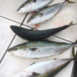 海楽隊 華栞丸 釣果