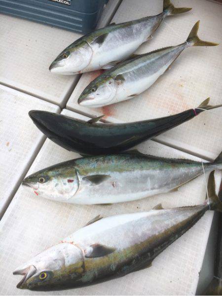 海楽隊 華栞丸 釣果