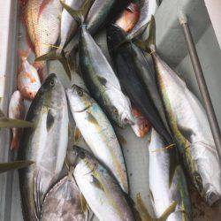 海楽隊 華栞丸 釣果