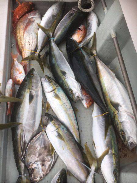 海楽隊 華栞丸 釣果