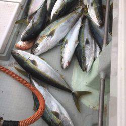 海楽隊 華栞丸 釣果