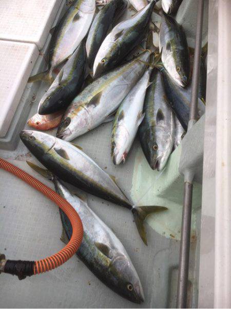 海楽隊 華栞丸 釣果