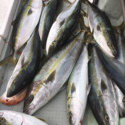 海楽隊 華栞丸 釣果