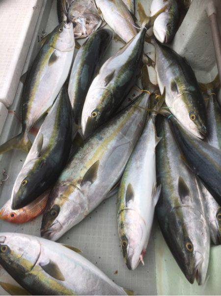 海楽隊 華栞丸 釣果