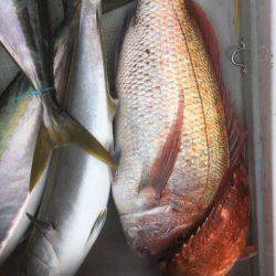 海楽隊 華栞丸 釣果