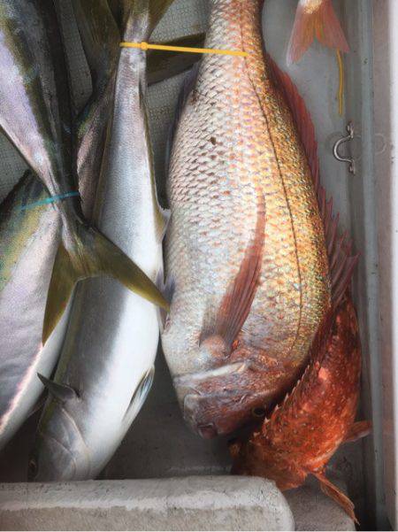 海楽隊 華栞丸 釣果