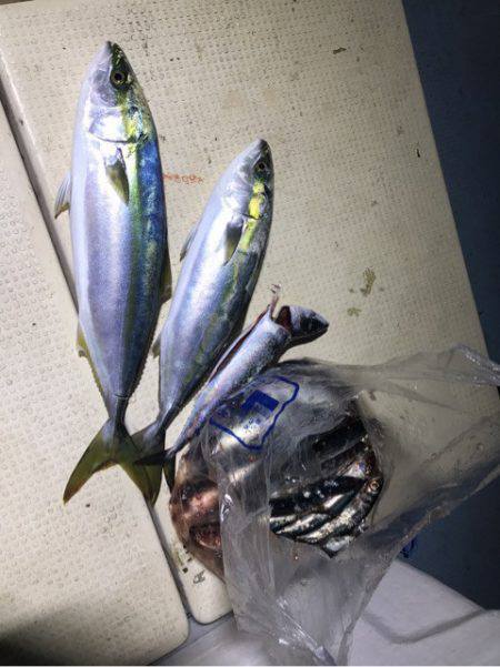 Monster Rush! 釣果